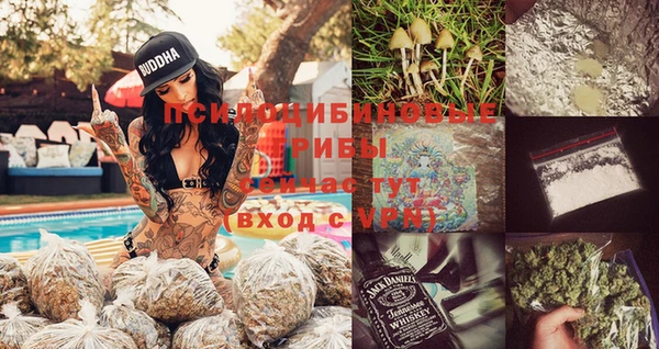 твердый Аркадак