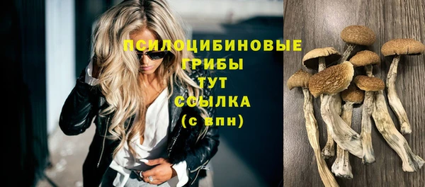 эйфоретик Заволжье