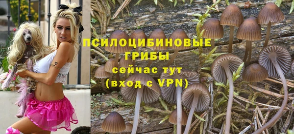 прущие грибы Заводоуковск