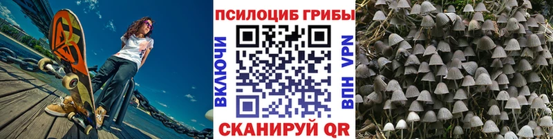 магазин продажи   Кизел  Псилоцибиновые грибы прущие грибы 